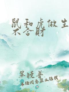 鼠和虎做生意合不合财