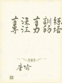 有没有训练小孩专注力的培训班?