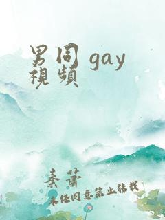 男同 gay 视频
