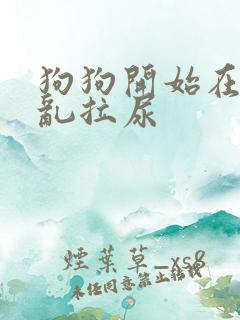 狗狗开始在家里乱拉尿