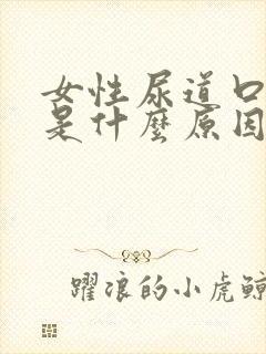 女性尿道口疼痛是什么原因