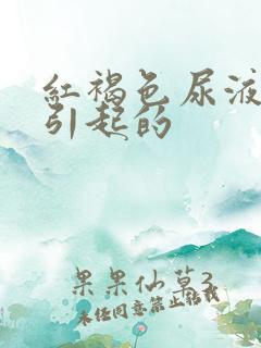 红褐色尿液原因引起的