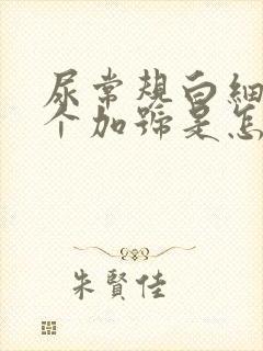 尿常规白细胞两个加号是怎么回事