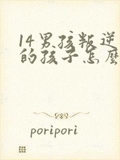 14男孩叛逆期的孩子怎么去引导