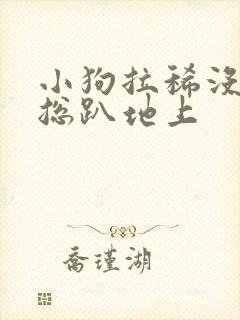 小狗拉稀没精神总趴地上