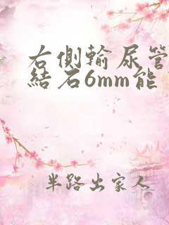 右侧输尿管上段结石6mm能自己排吗