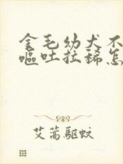 金毛幼犬不吃食呕吐拉稀怎么办