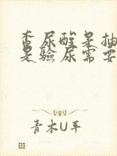 查尿酸是抽血还是验尿需要空腹吗