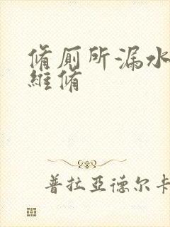 修厕所漏水上门维修