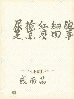 尿检红细胞28是怎么回事