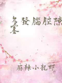 多发脑腔隙性梗塞