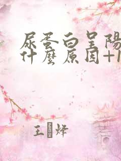 尿蛋白呈阳性是什么原因+1