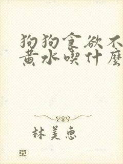 狗狗食欲不振吐黄水吃什么药