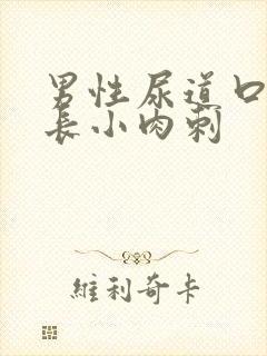 男性尿道口皮上长小肉刺