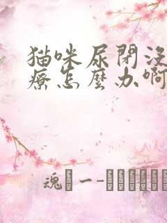 猫咪尿闭没钱治疗怎么办啊