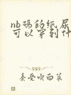 nb码的纸尿裤可以穿到什么时候