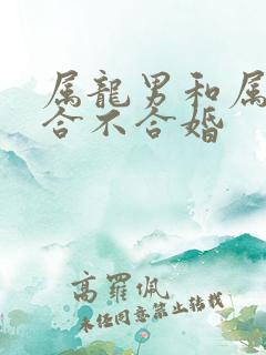 属龙男和属马女合不合婚