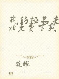 我的极品老婆txt免费下载