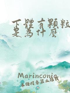 下体有颗粒很痒是为什么