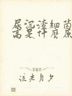 尿沉渣细菌计数高是什么原因