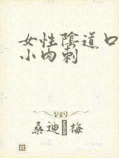 女性阴道口起了小肉刺