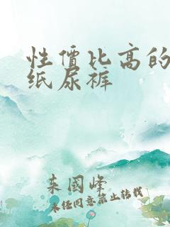 性价比高的成人纸尿裤