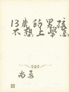 13岁的男孩子不想上学怎么办