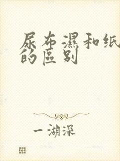 尿布湿和纸尿裤的区别