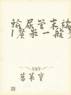 输尿管末端结石1厘米一般多久排出