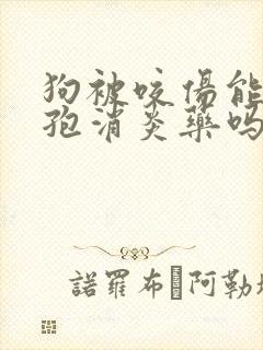 狗被咬伤能吃头孢消炎药吗