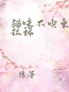 猫咪不吃东西还拉稀