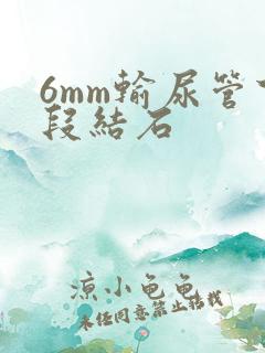 6mm输尿管下段结石
