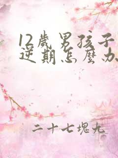 12岁男孩子叛逆期怎么办