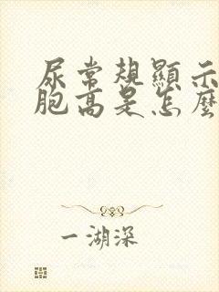 尿常规显示红细胞高是怎么回事