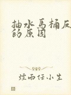 抽水马桶反臭味的原因