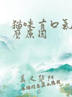 猫咪有口气是什么原因