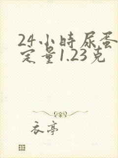 24小时尿蛋白定量1.23克