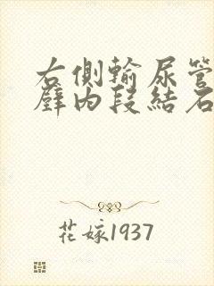 右侧输尿管膀胱壁内段结石怎么办