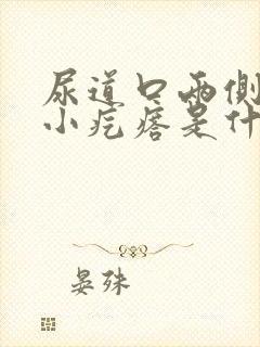 尿道口两侧痒有小疙瘩是什么