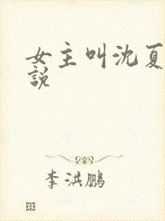 女主叫沈夏的小说