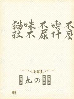 猫咪不吃不喝不拉不尿什么情况