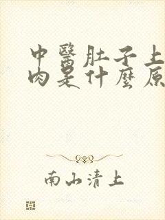 中医肚子上的赘肉是什么原因