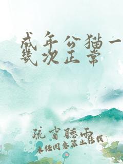 成年公猫一天尿几次正常