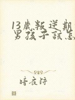 13岁叛逆期的男孩子该怎样去沟通教育