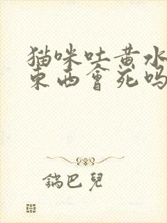 猫咪吐黄水不吃东西会死吗