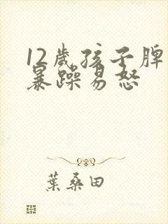 12岁孩子脾气暴躁易怒