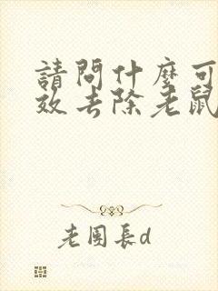 请问什么可以有效去除老鼠屎尿的味道