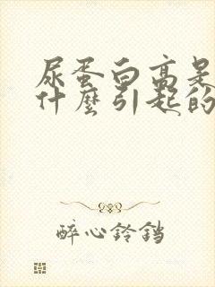 尿蛋白高是由于什么引起的