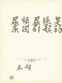 尿频尿胀是什么原因引起的