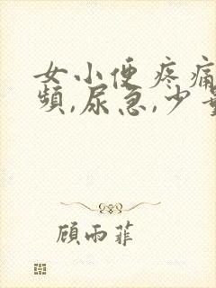 女小便疼痛,尿频,尿急,少量出血